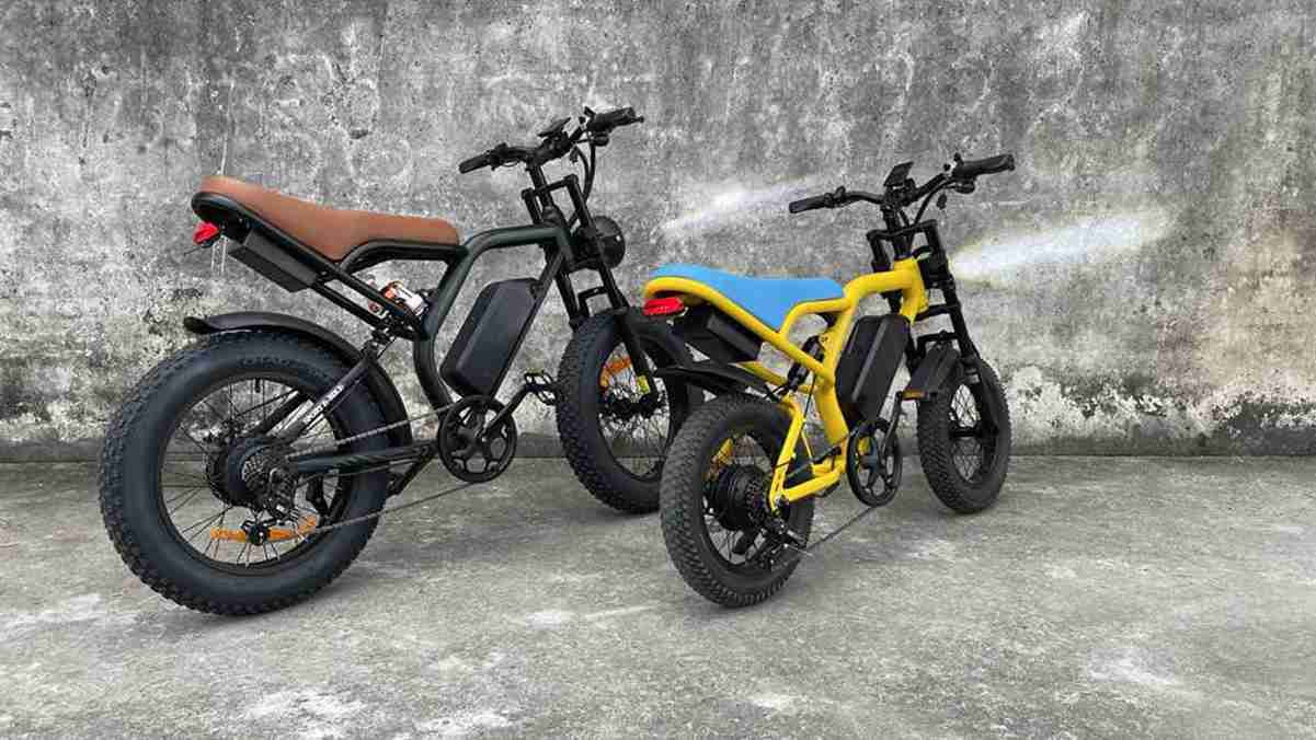 Electric And Folding Bikes OEM