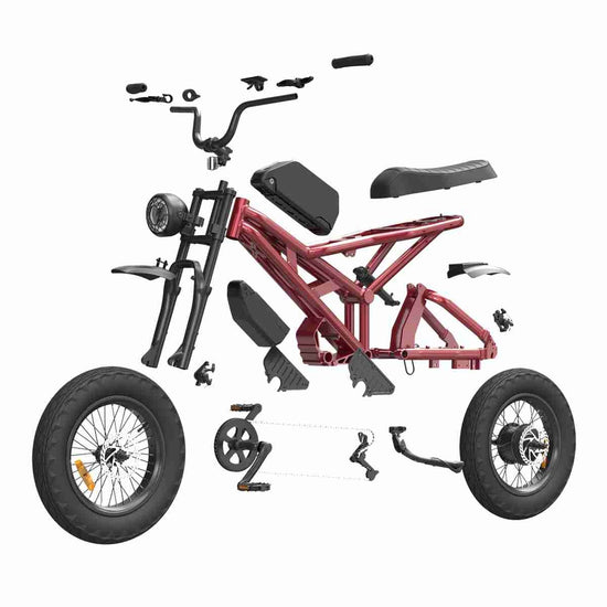 Electric Bike 1000w OEM