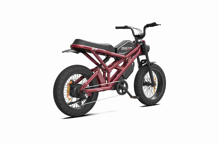 Electric Bike 36v OEM