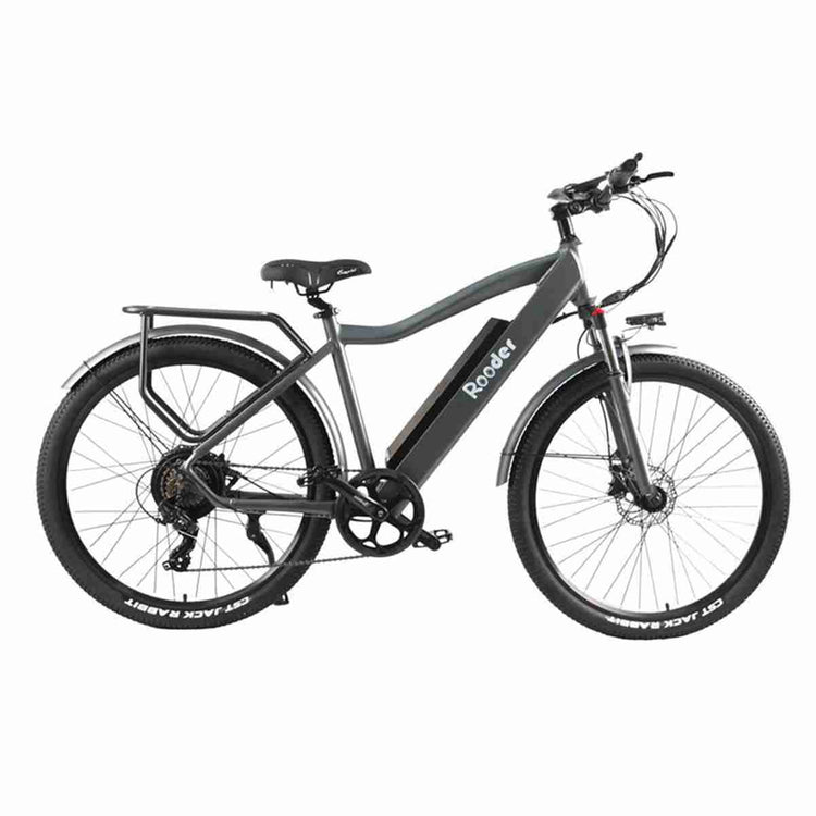 Electric Bike Big Tires OEM