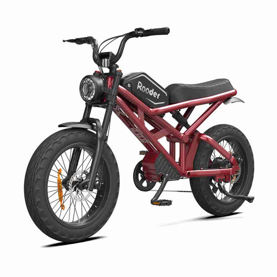 Electric Bike Folding Bike OEM