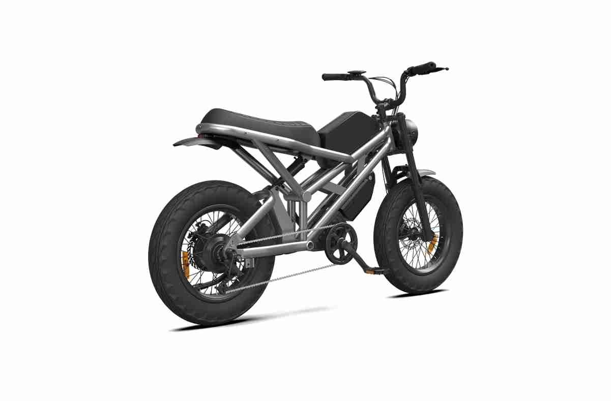 Electric Bike Long Range OEM