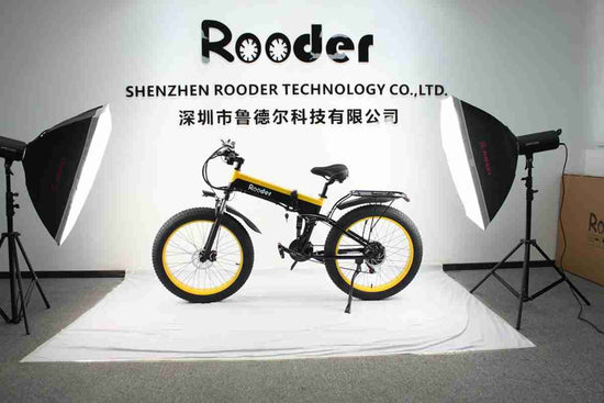 Electric Bike Made In China OEM