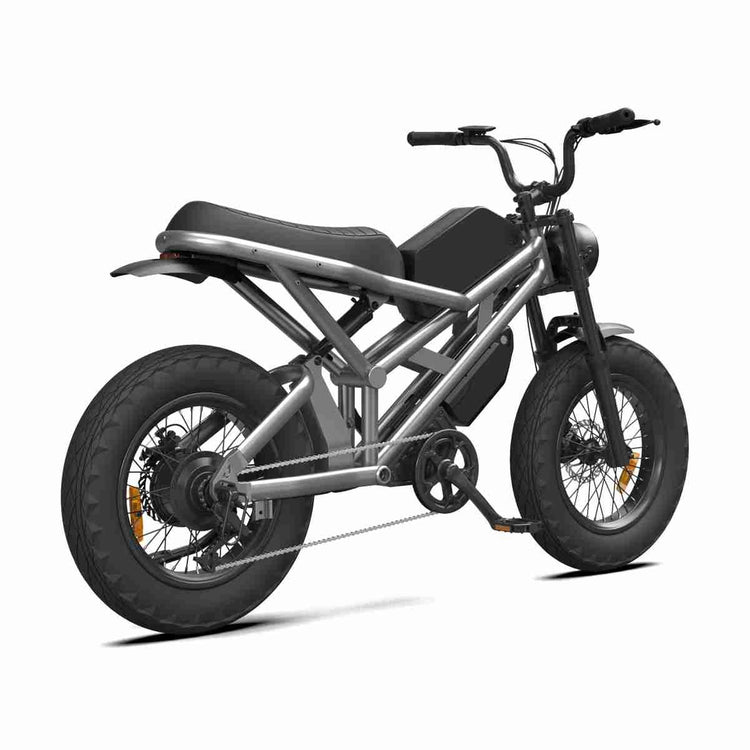 Electric Bike Prices OEM