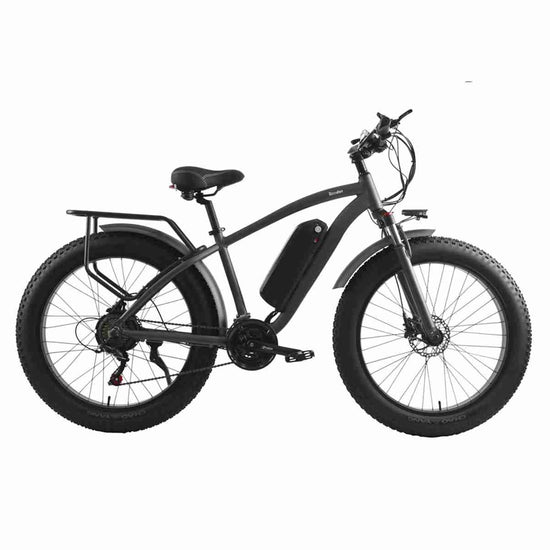 Electric Bike Speed OEM