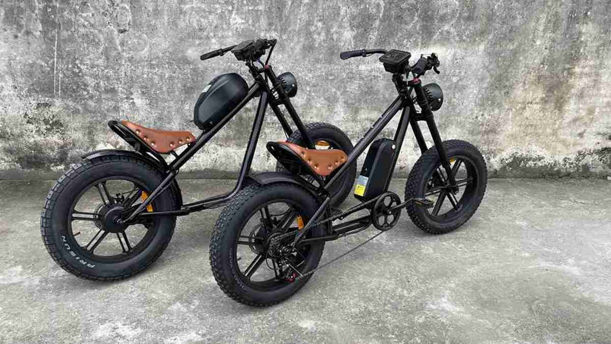 Electric Bike Sport OEM