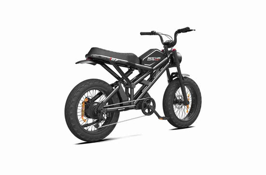 Electric Bike Thick Tyres OEM