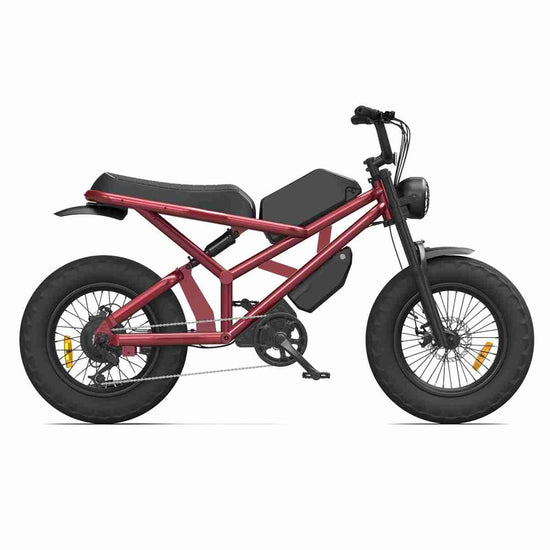 Electric Bike Warehouse OEM