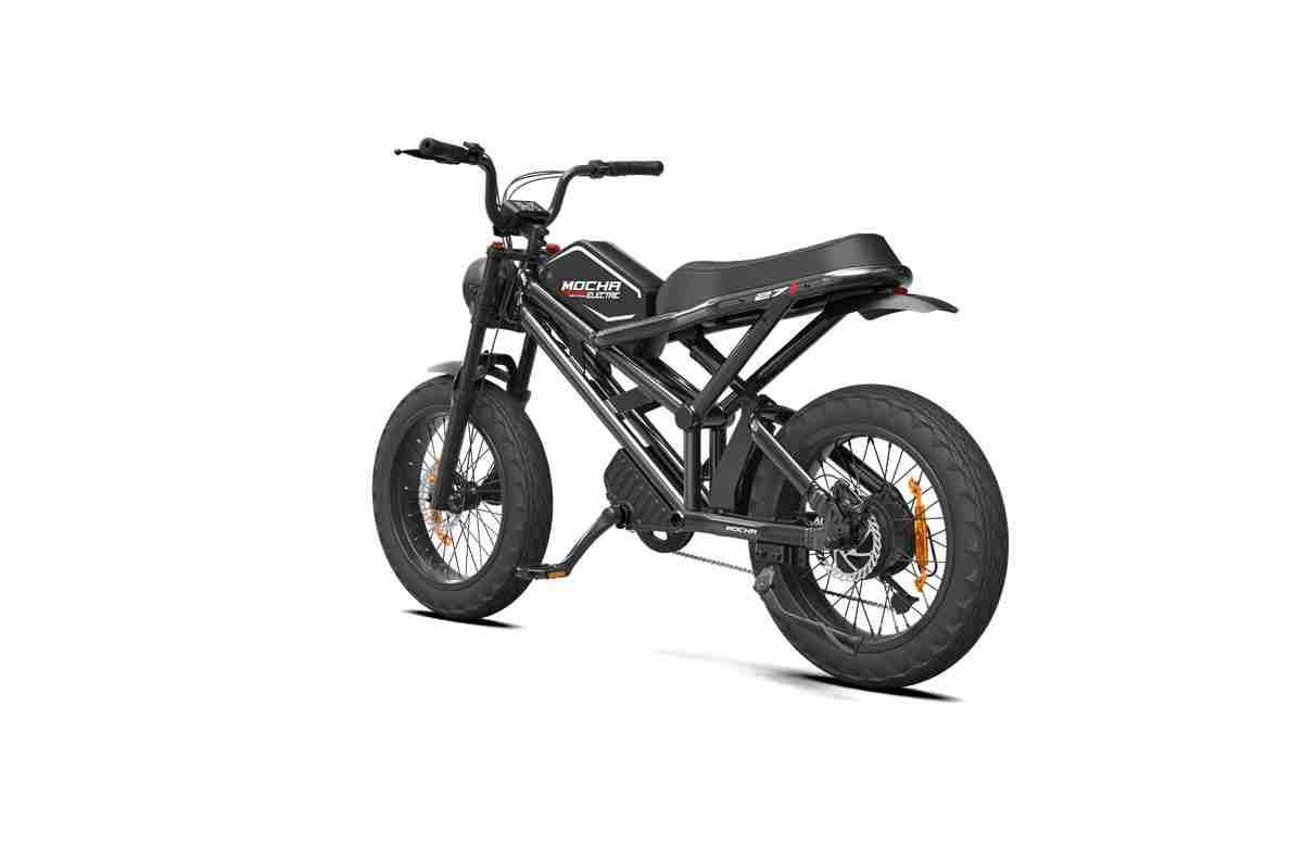 Electric Bike With Thick Tyres OEM