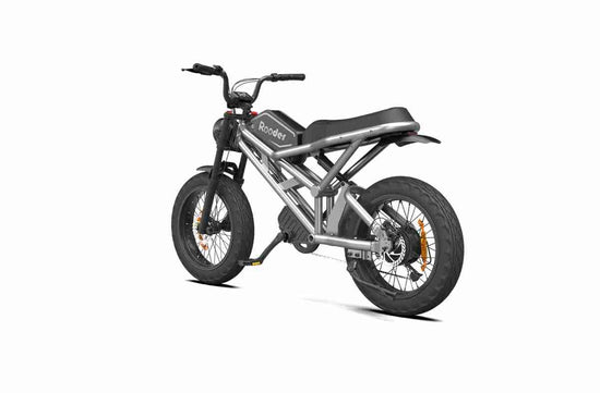 Electric Bikes For Adults OEM