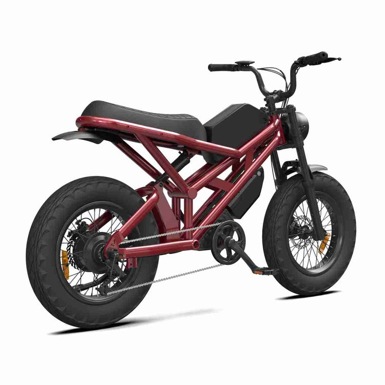 Electric Bikes Suppliers OEM