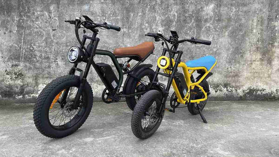 Electric Cycle Fat Bike OEM