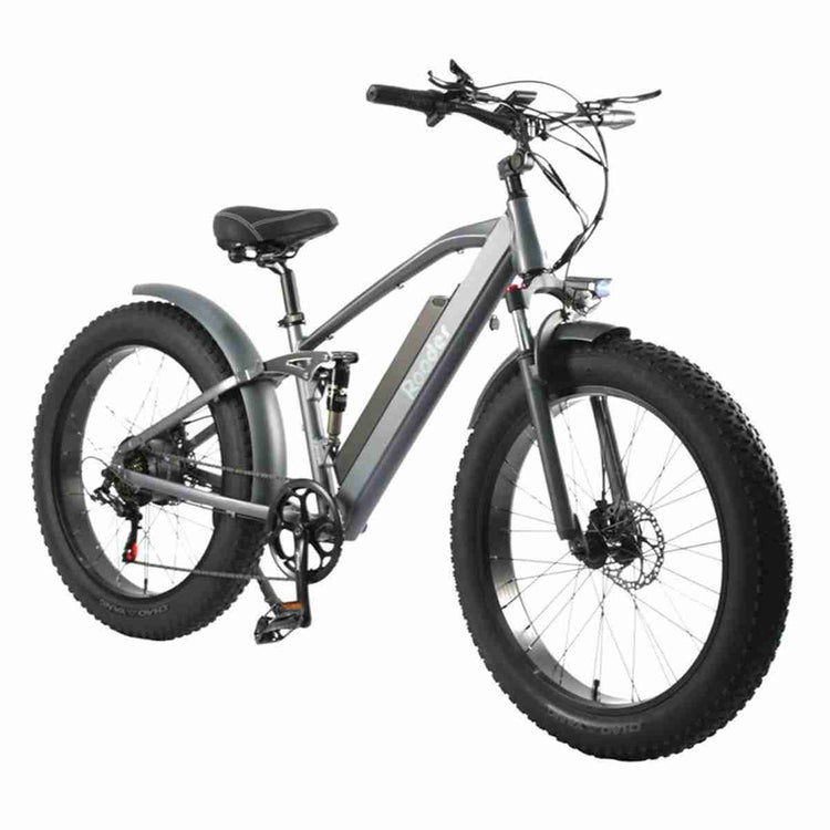 Electric Cycle Fat OEM