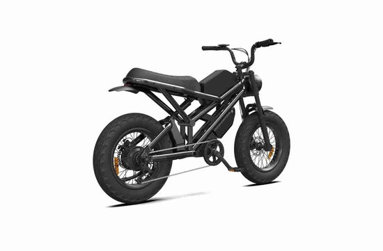 Electric Dirt Bike Full Size OEM