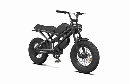 Electric Dirt Bike Men OEM