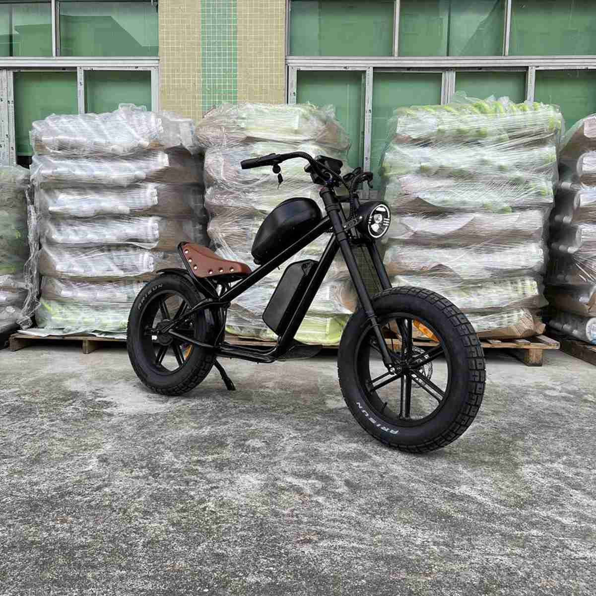 Electric E Bike OEM