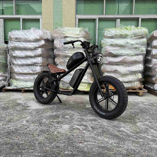 Electric E Bike OEM