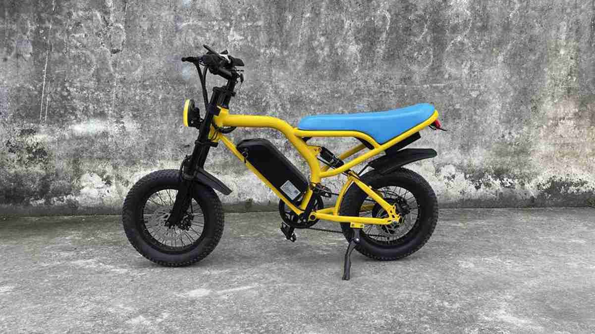 Electric Fat Bike Cycle OEM