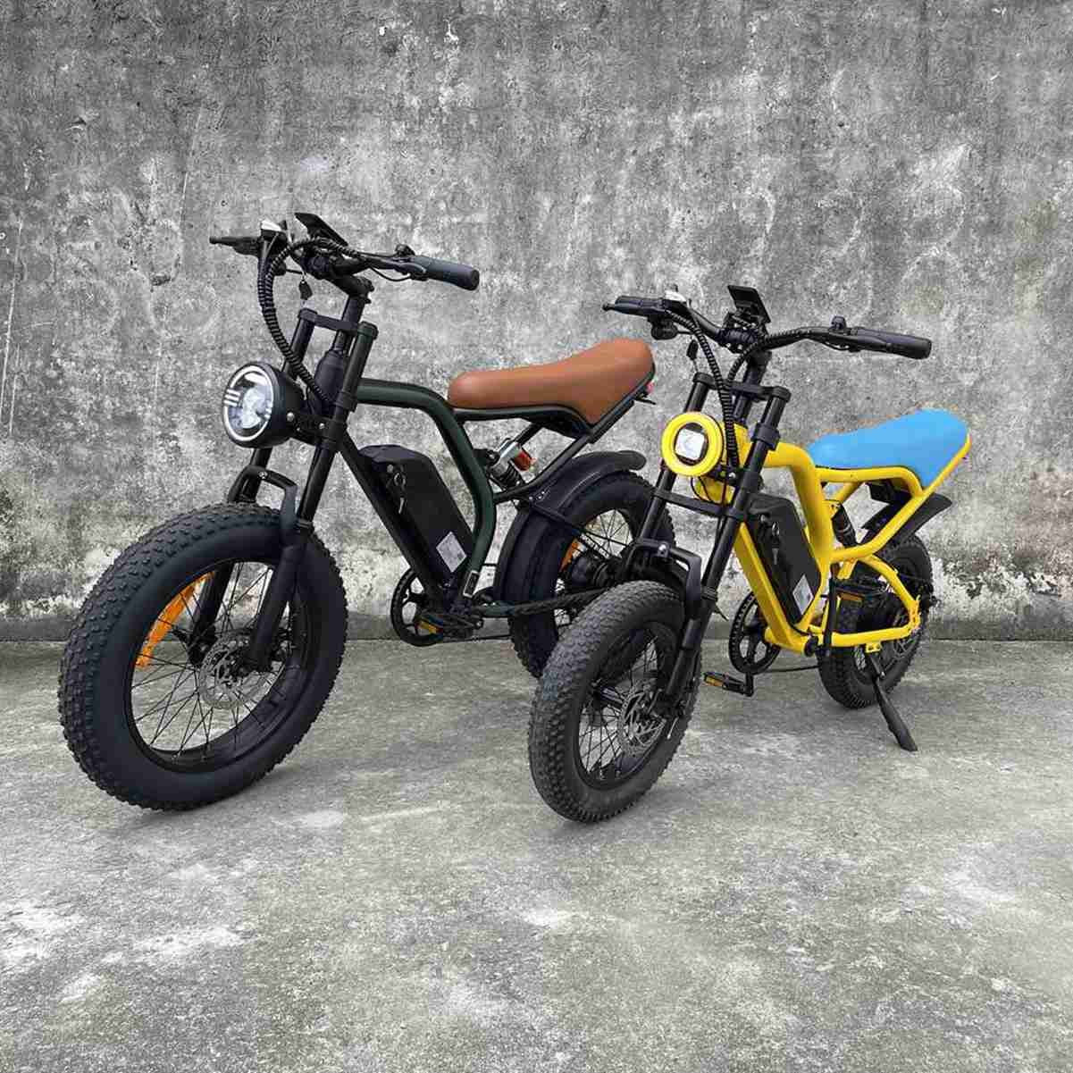 Electric Fat Bike For Sale OEM