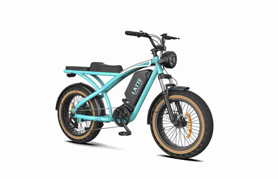 Electric Fat Bike Snow OEM