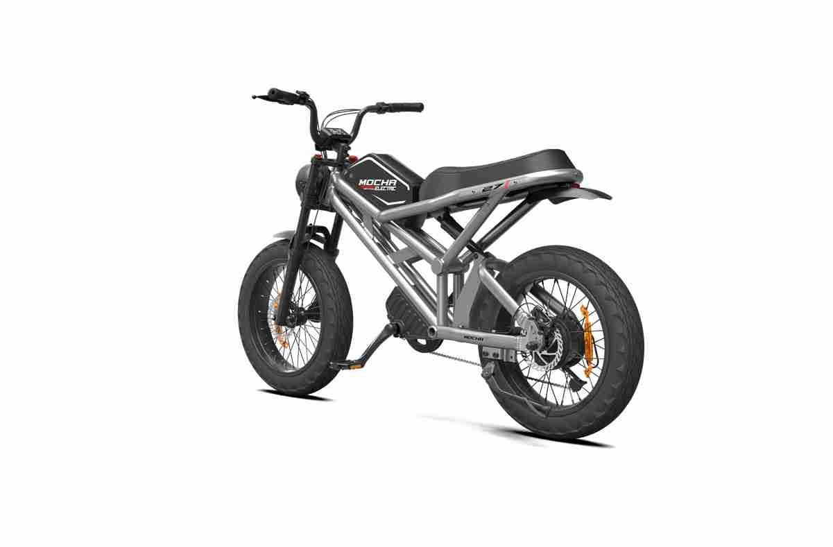 Electric Fat Tire Bike OEM