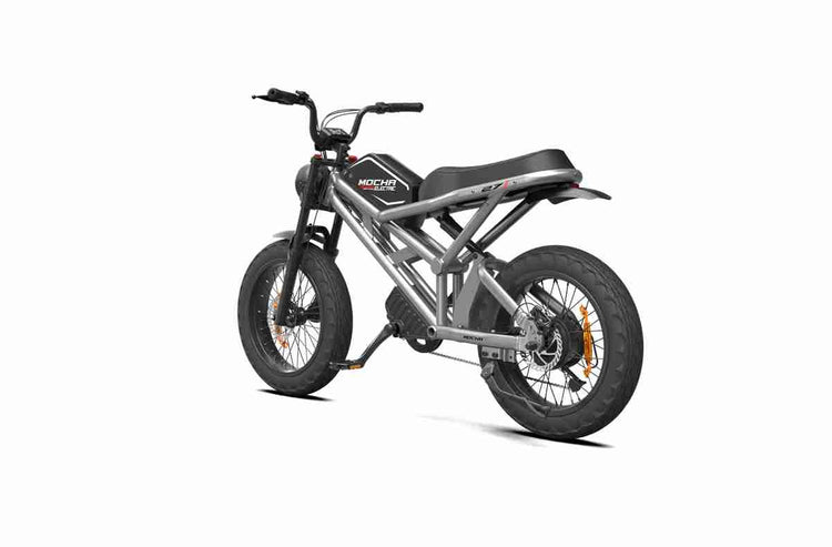 Electric Fat Tire Bike OEM