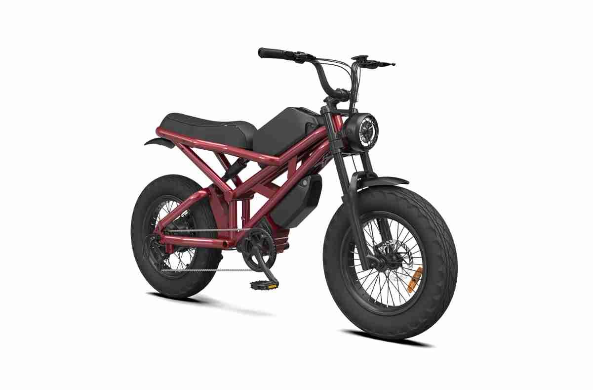 Electric Fat Tire Ebike OEM