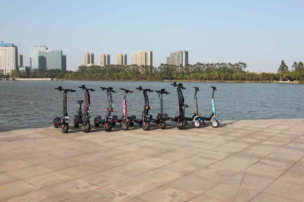 Electric Fold Away Scooter OEM