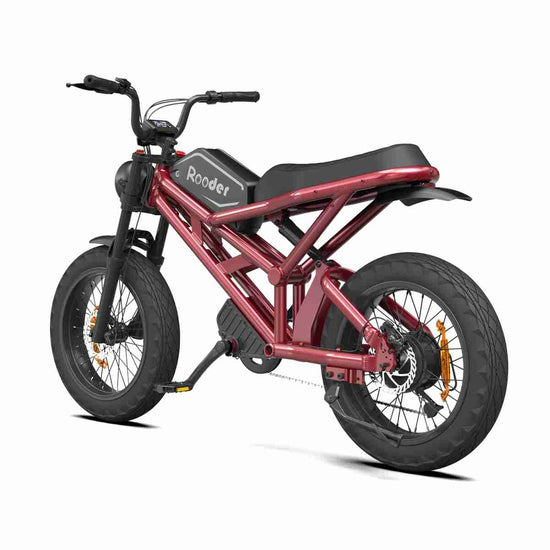 Electric Folding Bike Price OEM