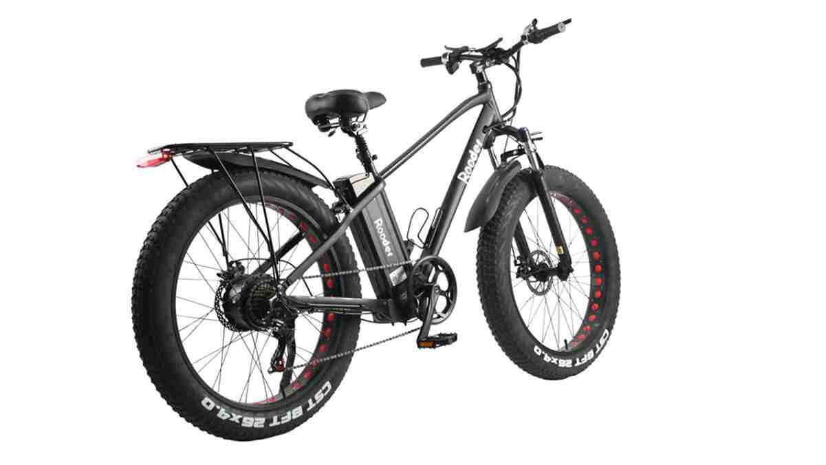 Electric Folding E Bike OEM