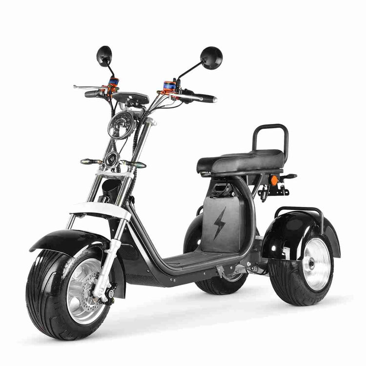 Electric Motorcycle Adult OEM