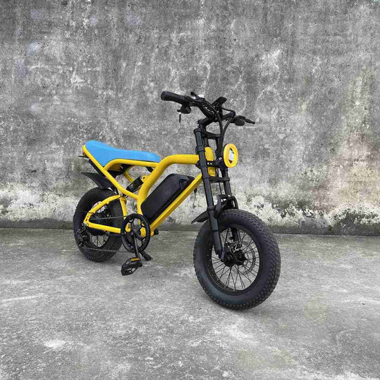 Electric Off Road Bike OEM