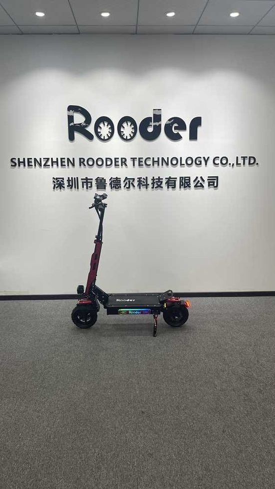 Electric Scooter Adult 3 Wheel OEM