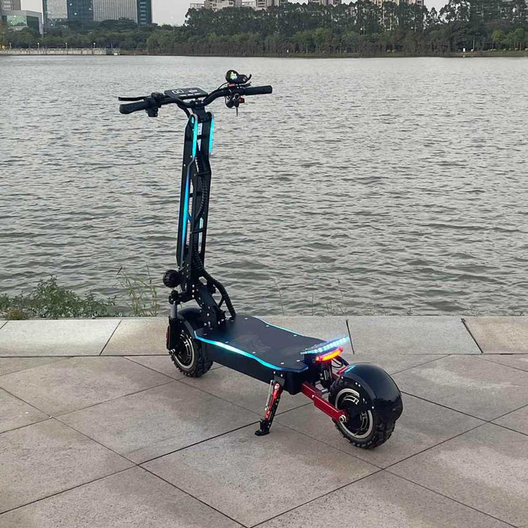 Electric Scooter Adult Off Road OEM