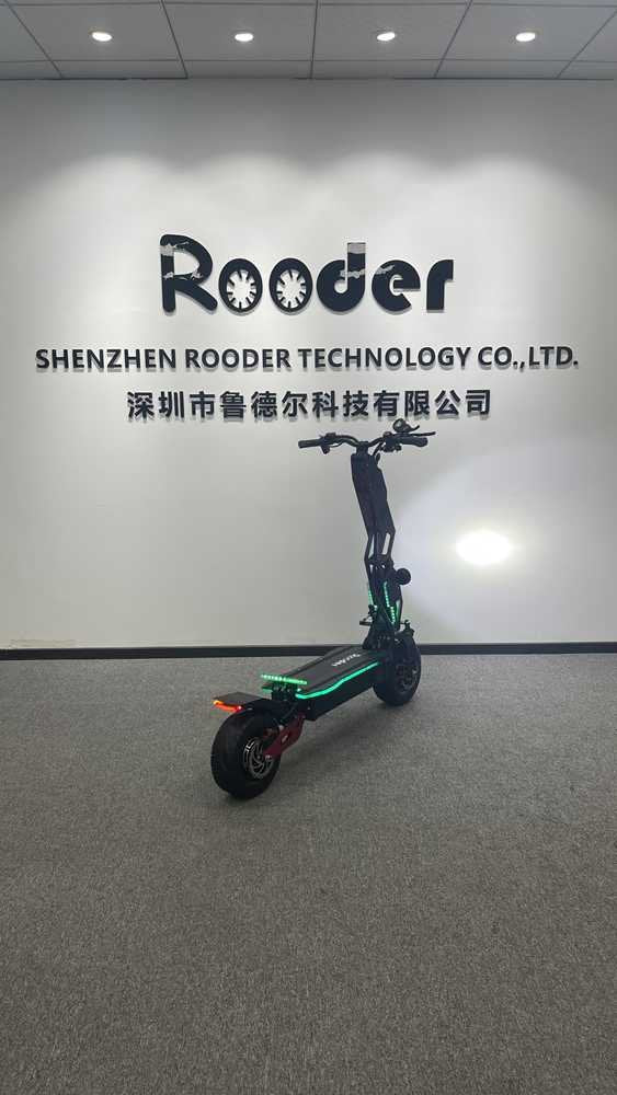 Electric Scooter Foldable OEM