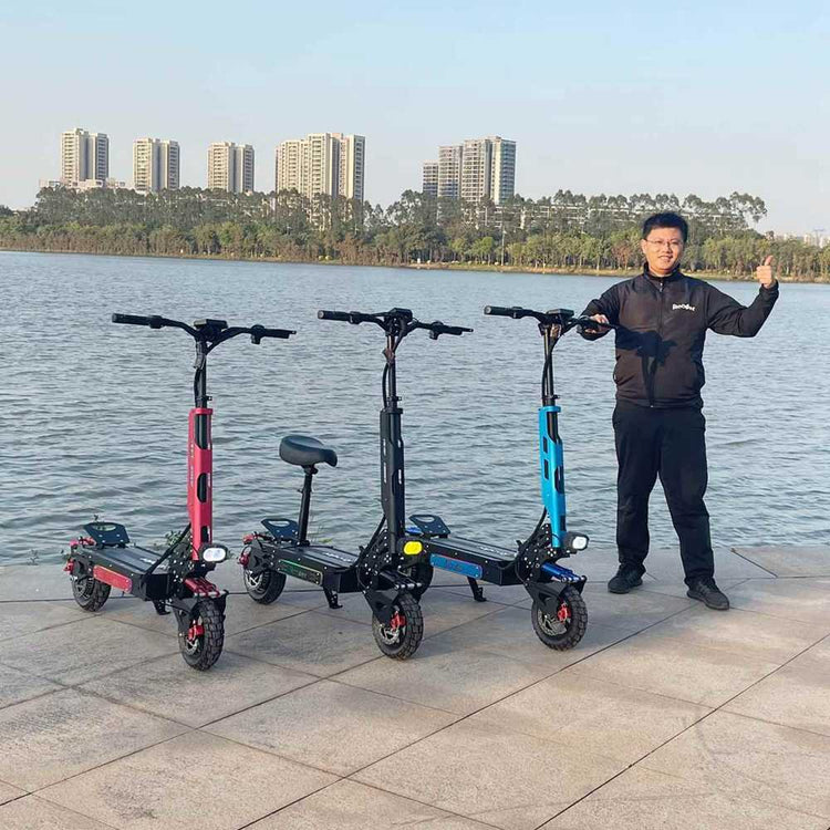 Electric Scooter For Ladies Price OEM