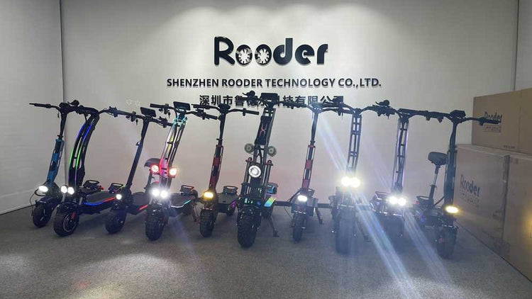 Electric Scooter Price Adults OEM