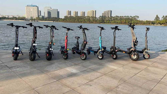 Electric Scooter Store OEM