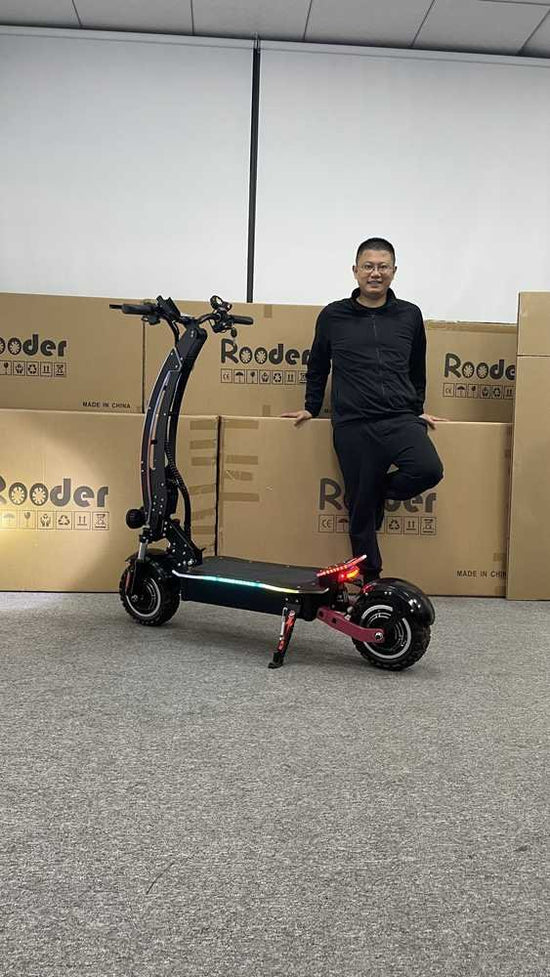 Escooter Foldable OEM