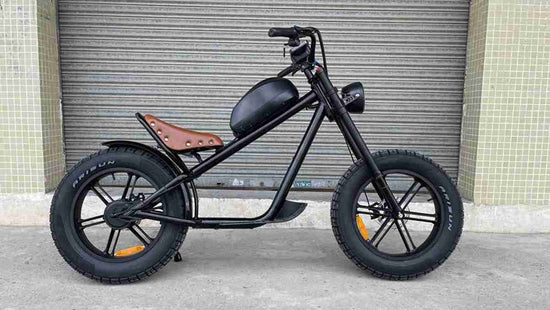 Eu Warehouse Electric Bike OEM