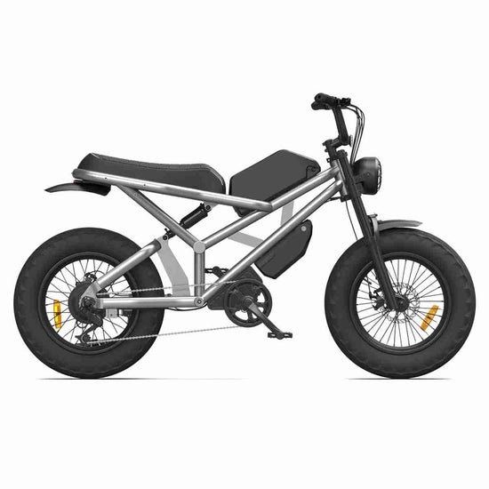 Ev Dirt Bike OEM