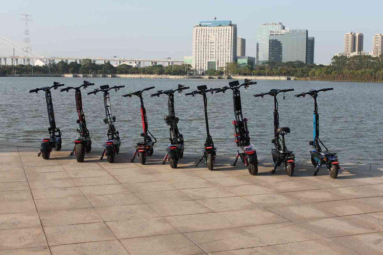 Ev Electric Scooter Price OEM