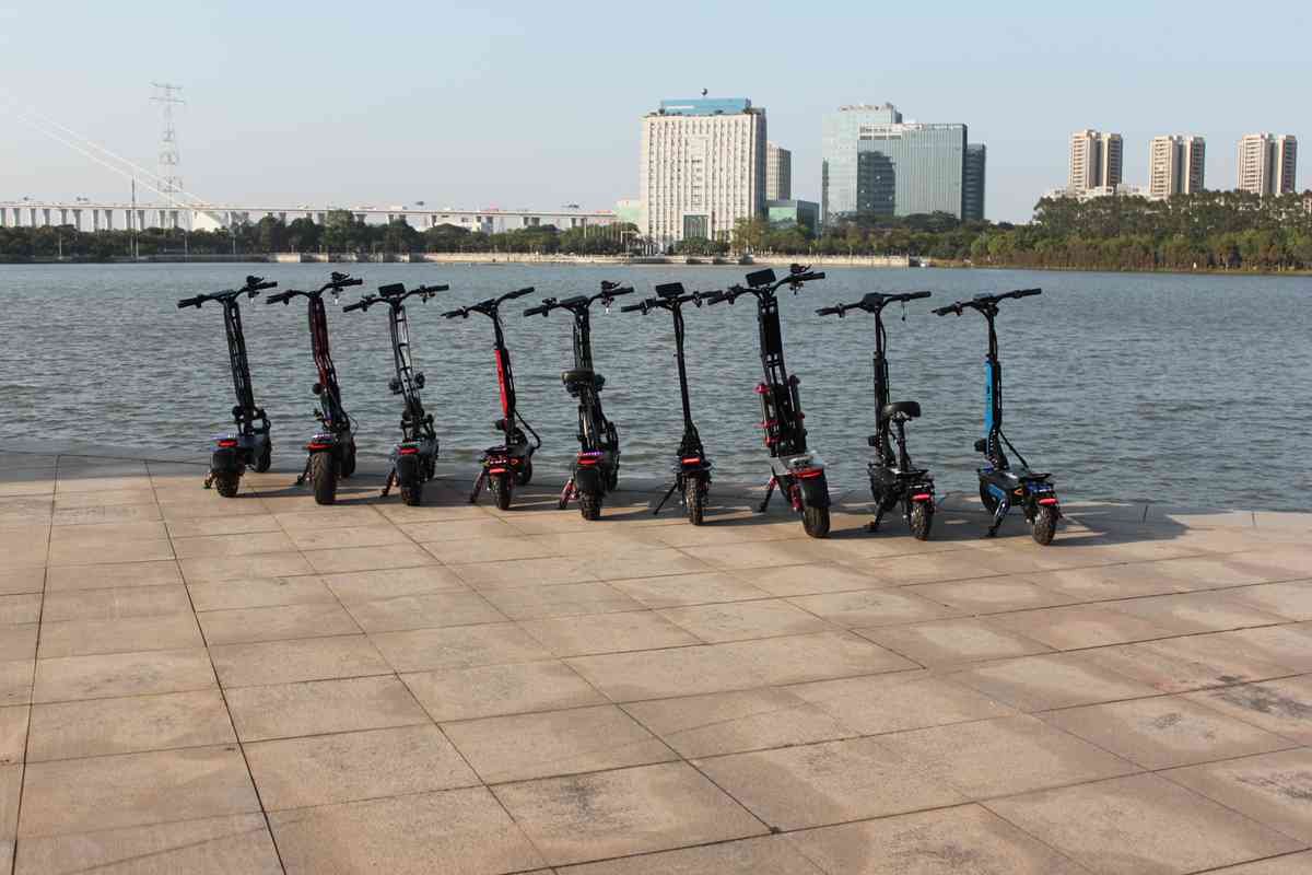 Ev Electric Scooter OEM