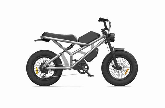 Evolt Bike OEM