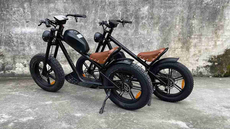 Fastest Portable Electric Bike OEM