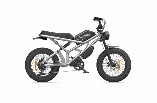 Fat Bike Ebike OEM