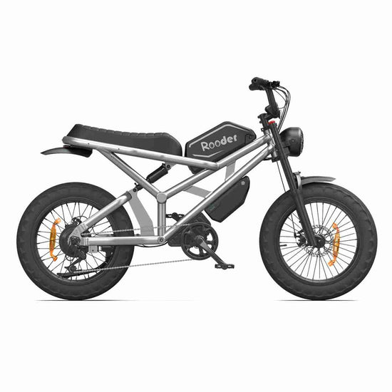 Fat Electric Cycle Price OEM