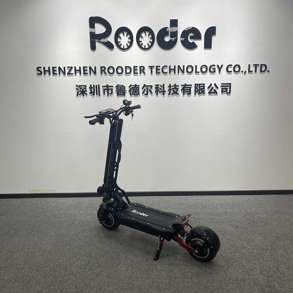 Fold Away Electric Scooter OEM