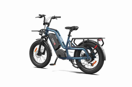 Fold Down Electric Bike OEM