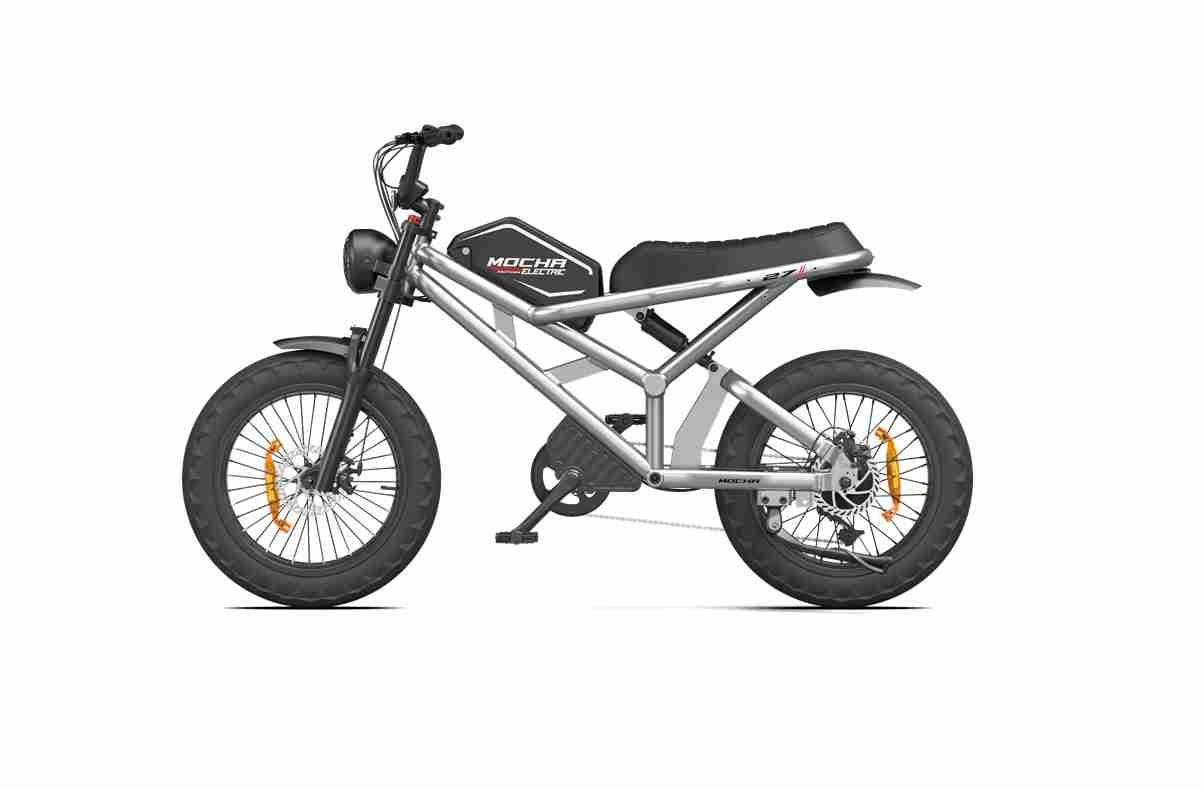 Foldable E Bike OEM